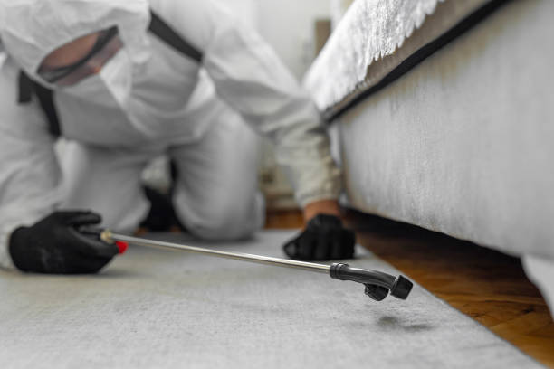 Professional Termite Control technician working in Bicknell, IN