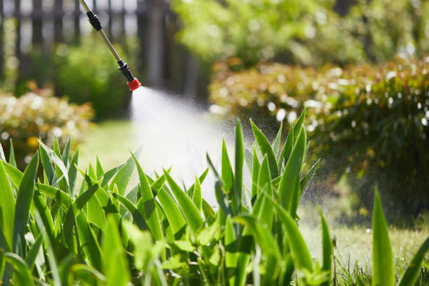 24/7 Emergency Termite Control experts in Bicknell, IN