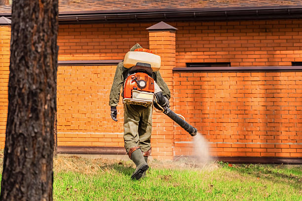 Trusted Cockroach Control service in Bicknell, IN - Nex Pest Control